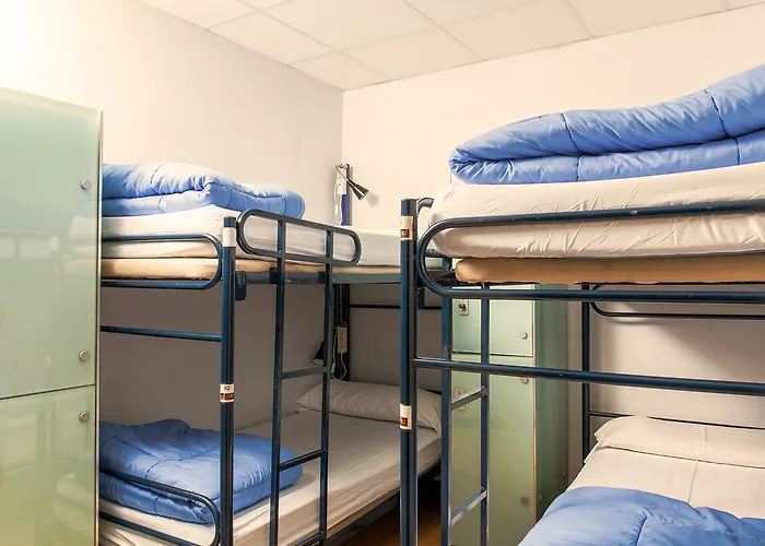 Cats Chill Out MadridHostel